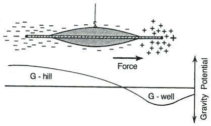 最近有一种想法让我感到很有趣，也许在2030年之前，我们会看到一系列被长期压制的