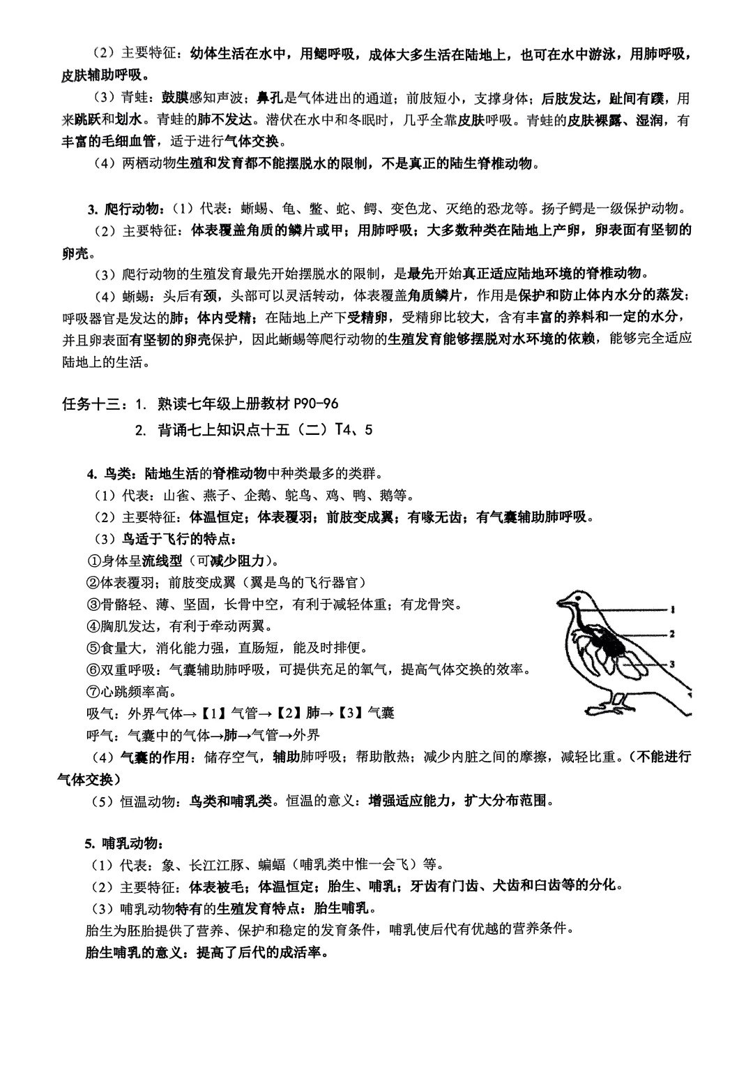 七年级上册生物学知识汇编2024