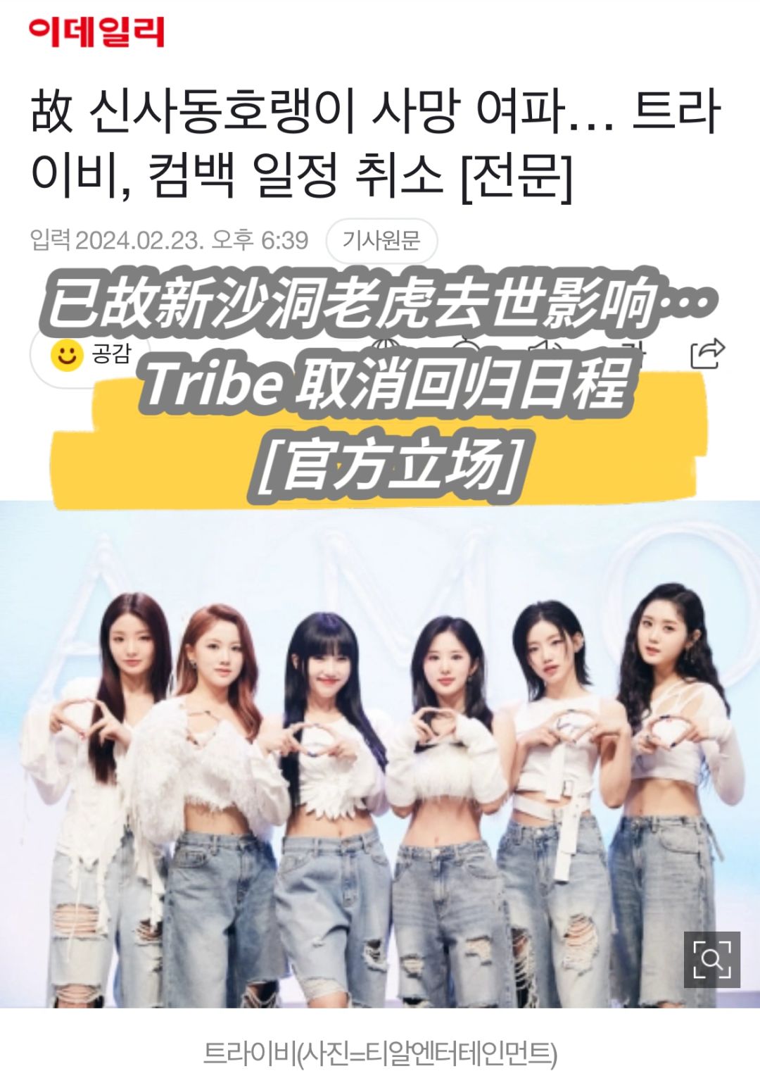 🔥新沙洞老虎去世！Tribe取消回归日程【官方】