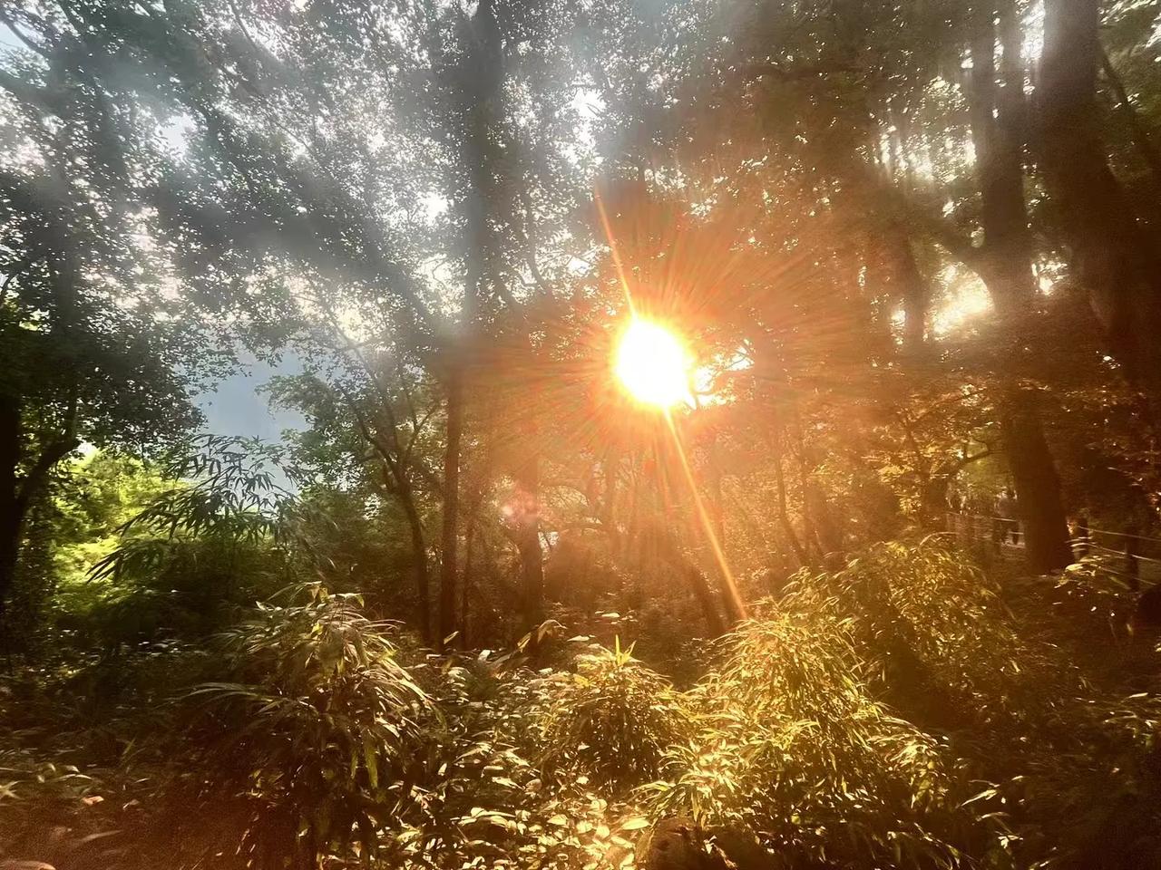 新一轮的学科大练兵活动又开始了。今非昔比的是，如今遇到这样的活动，特别是县级以及