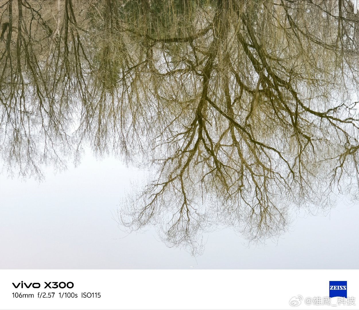 vivo 湖面如镜，柳枝在水中交织成网，城市楼宇与亭台倒影随波轻晃。没有喧嚣，只