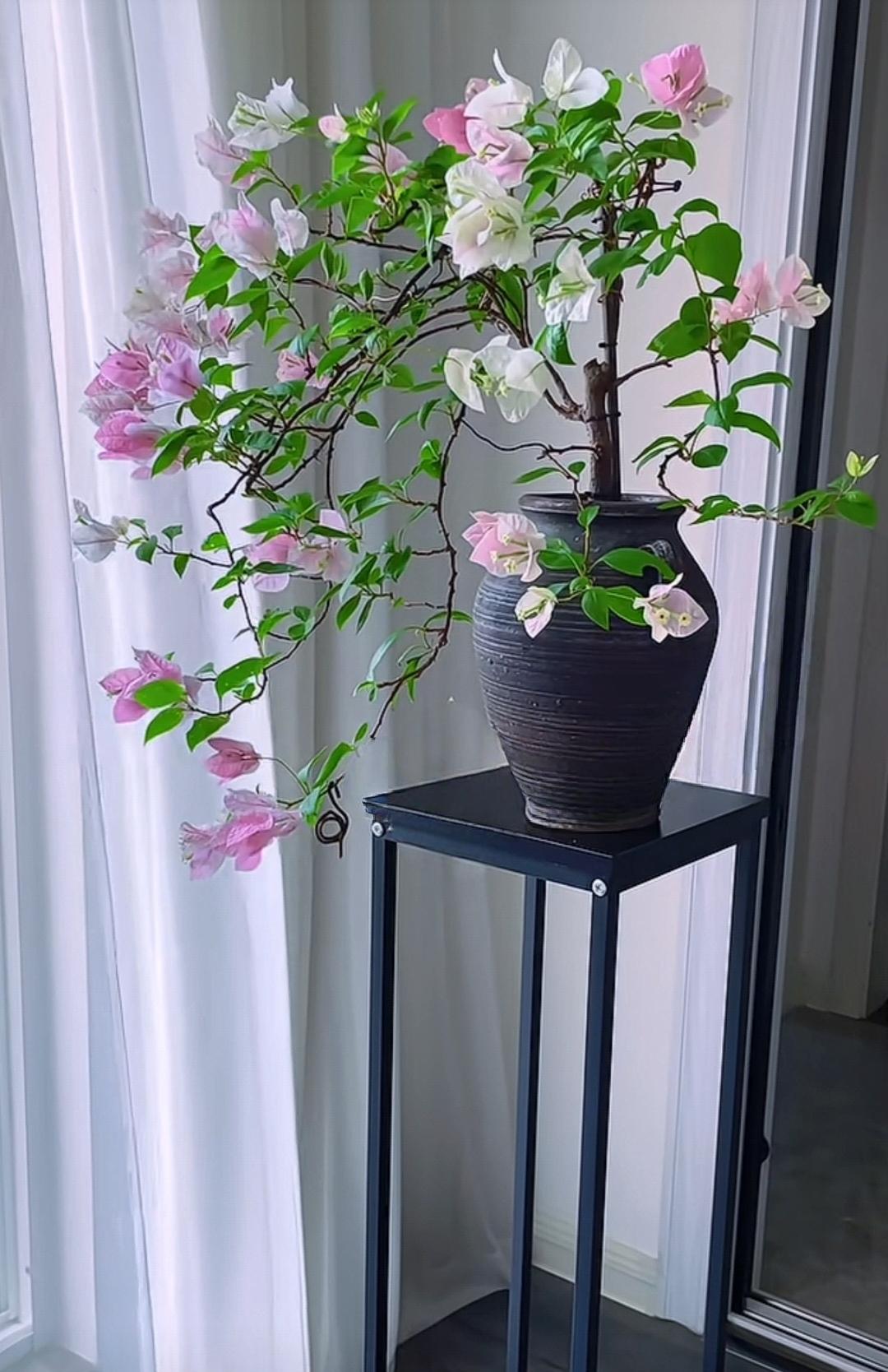 中医判断一段感情好不好，有一个特别标准：
你见那个人时，是又心动、又心安?还是只