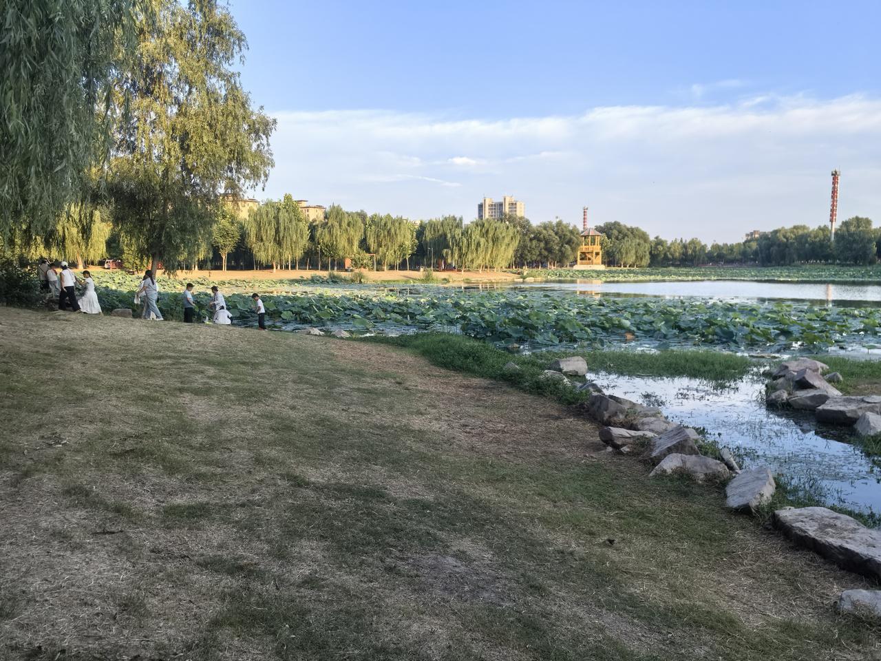 我的女儿是两年前的博士生被引进高校的，她那个时候的优惠政策是从房子上说的，他们当