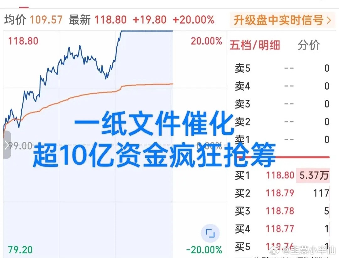 两个月以前是十倍牛股，上半年净利润一亿多，但近期因为高盛的一纸文件又被资金疯狂抢