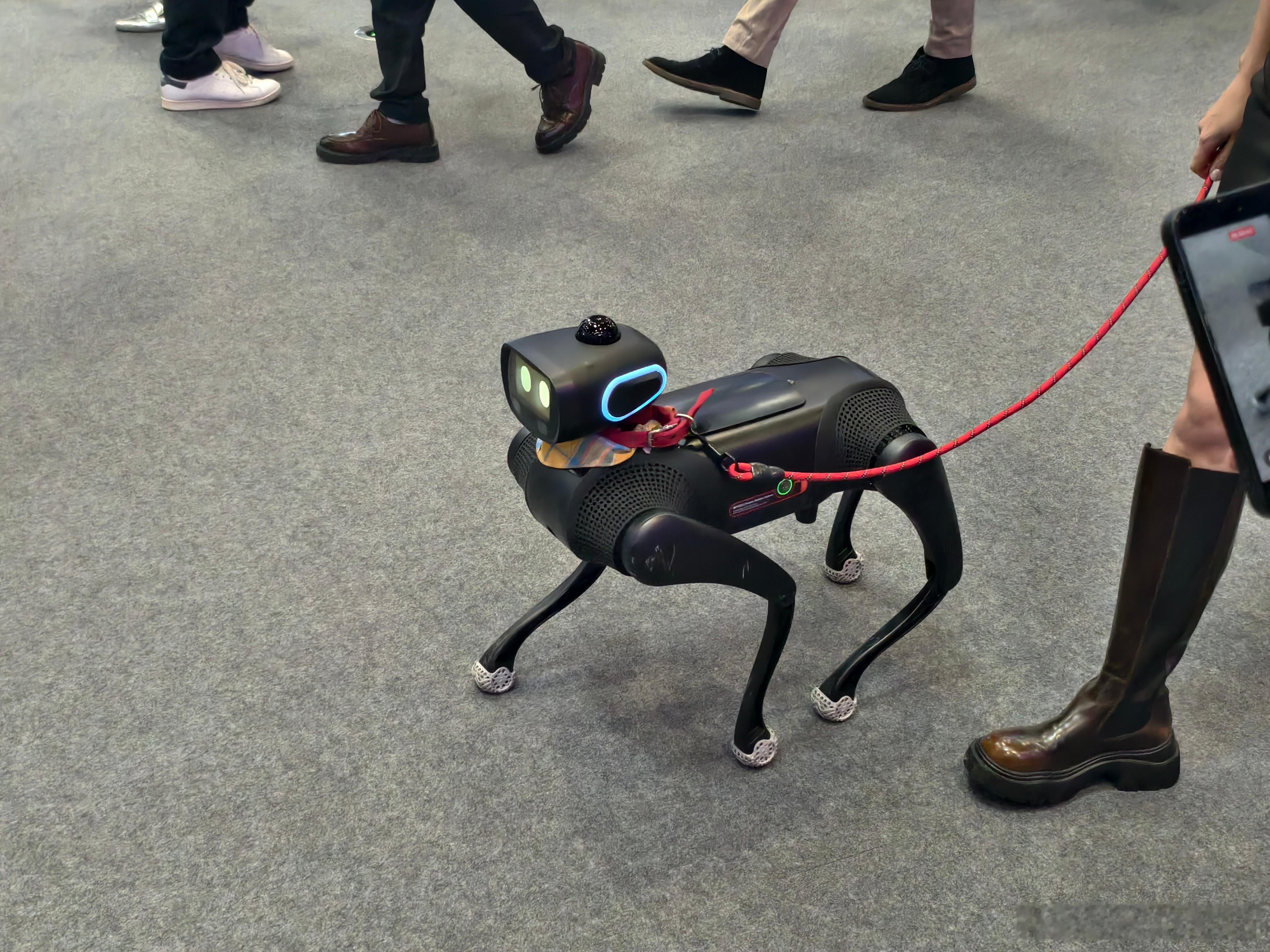 有人牵着 Vbot 大头 bobo 来逛展了～2026北京车展