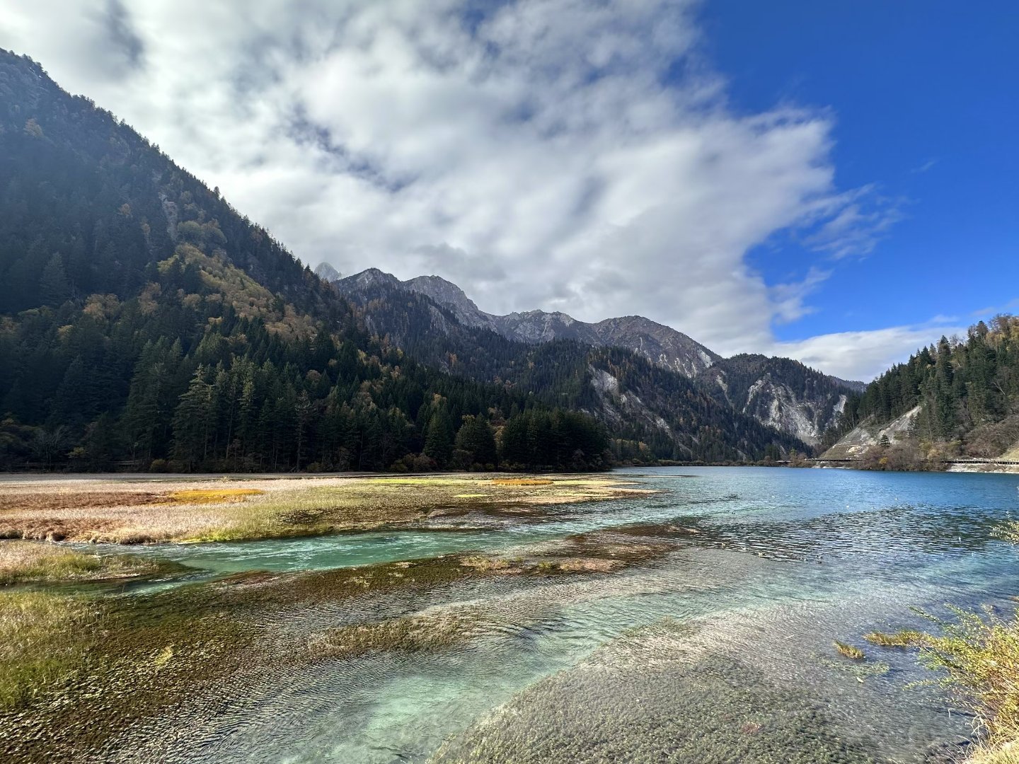 在九寨沟误入莫奈油画世界近期的九寨沟天气时晴时阴，景色绝美。 ​​​