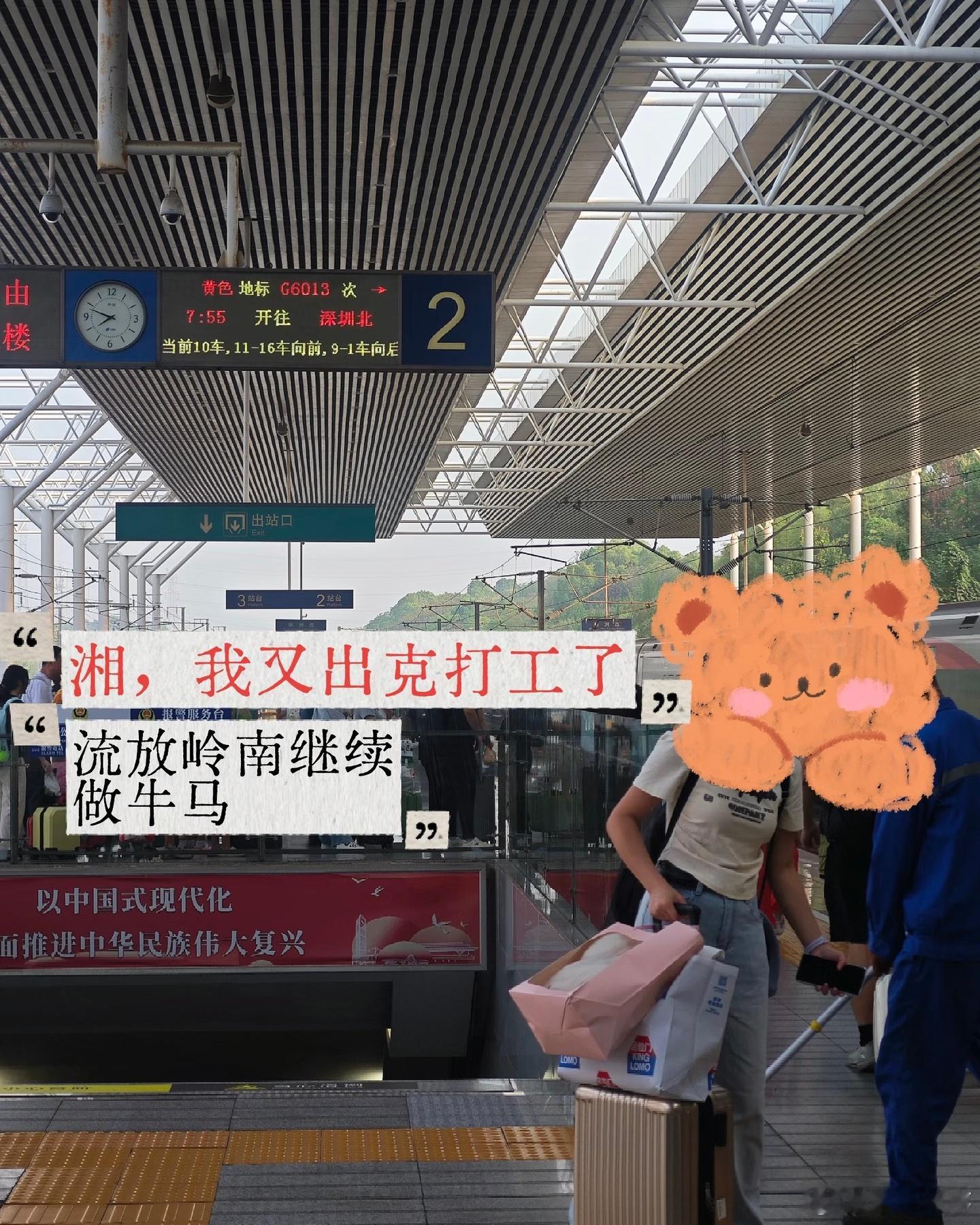 深圳不愧是湖南人精神省会 在深圳职场交友特别容易遇到湖南老乡，性格对味三观合拍饮
