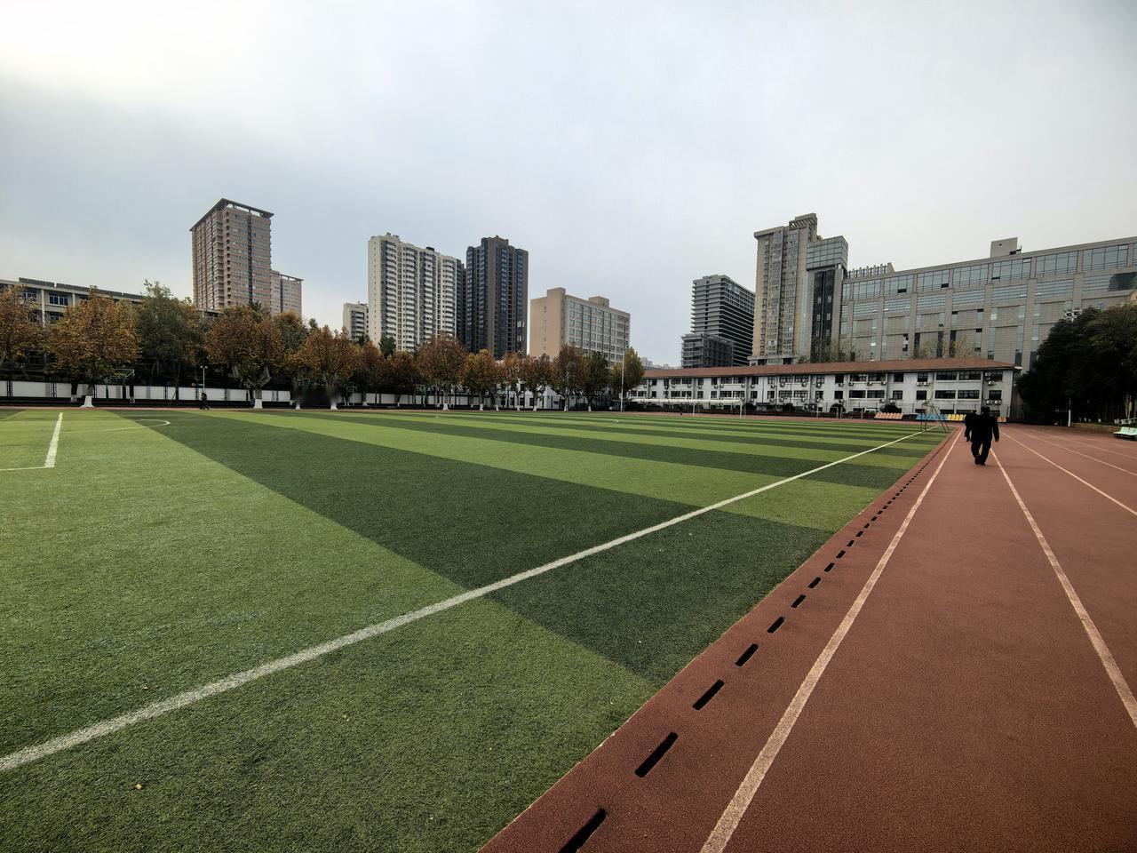 冬日生活打卡季周末的校园，静悄悄……操场边，只有鸟儿在叽叽喳喳叫，偶尔掠过枝头，