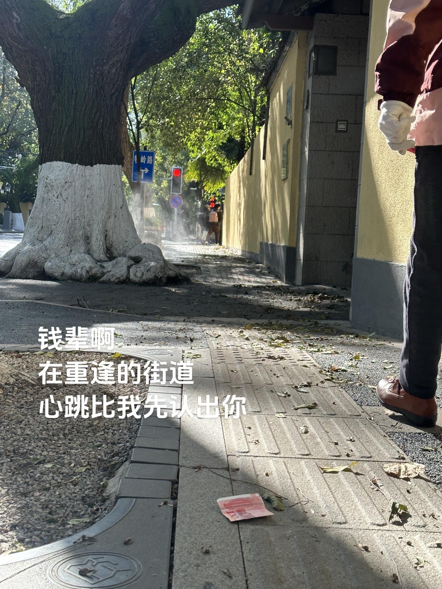 钱辈啊 在重逢的街道 心跳比我先认出你