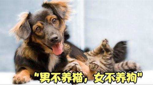 为什么老话说“男不养猫”、“女不养狗”？

古人认为，猫性属阴，昼伏夜出，行动悄