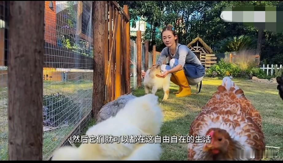 郑恺媳妇后院刨粪！别墅不种草改种菜，这明星太另类。

别人晒钻戒豪车，郑恺老婆苗