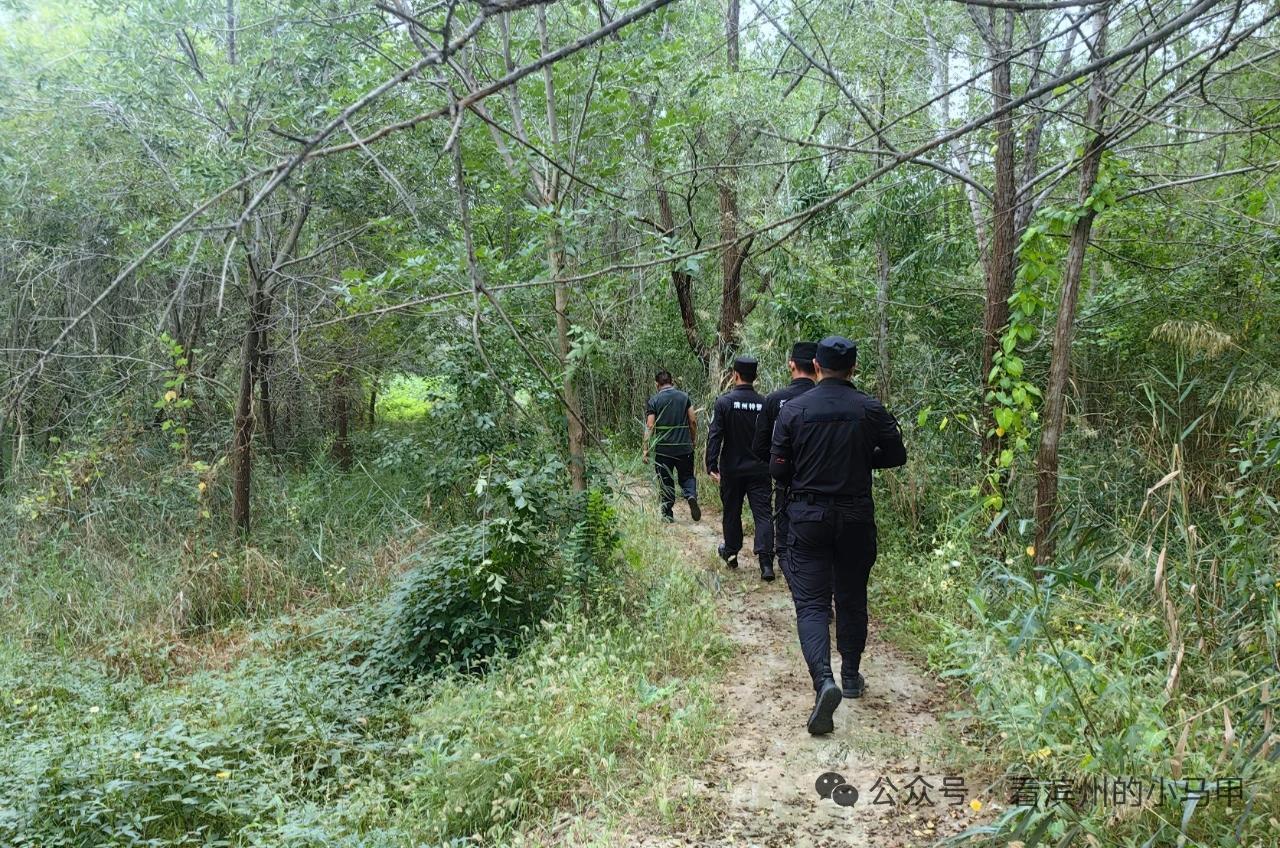 滨州一头牛被击毙

2025年9月15日17时许，山东滨州高新区小营街道坡赵村村