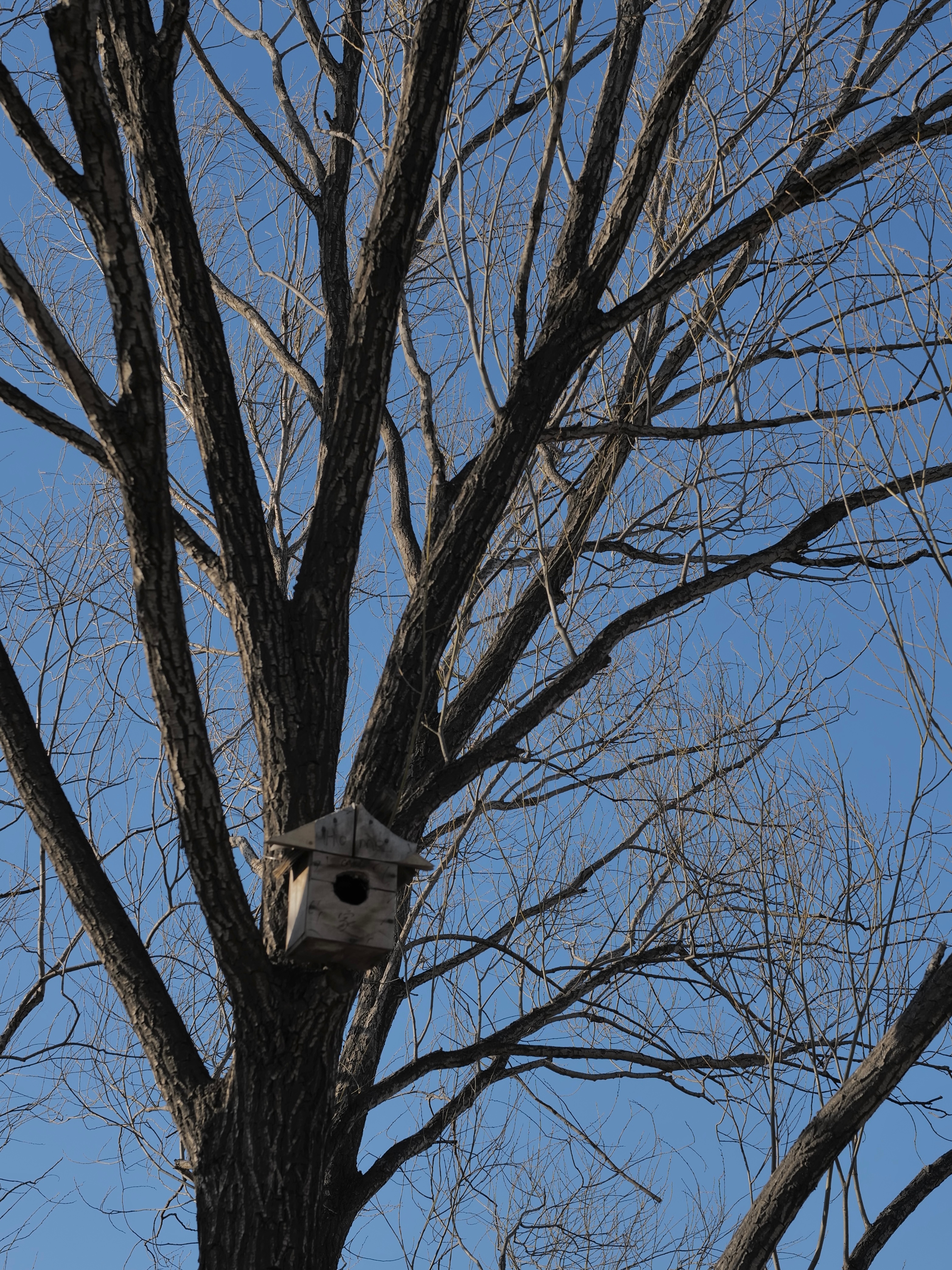 某一天下午  阳光把影子拉得很长  一只橘色小咪跟了我一路  我带了一个贝果  