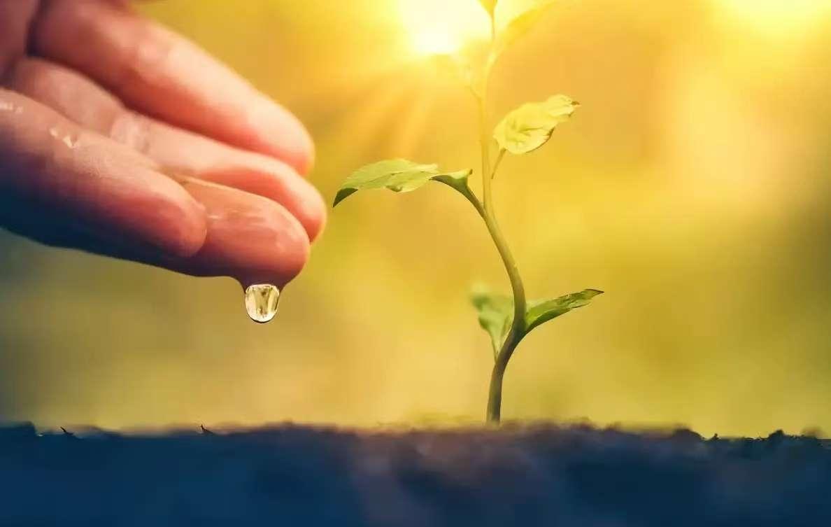 这样的男人，真下头。
跟朋友吃饭，碰到邻桌一对夫妻。
女的拿热水冲碗碟，男的“矫