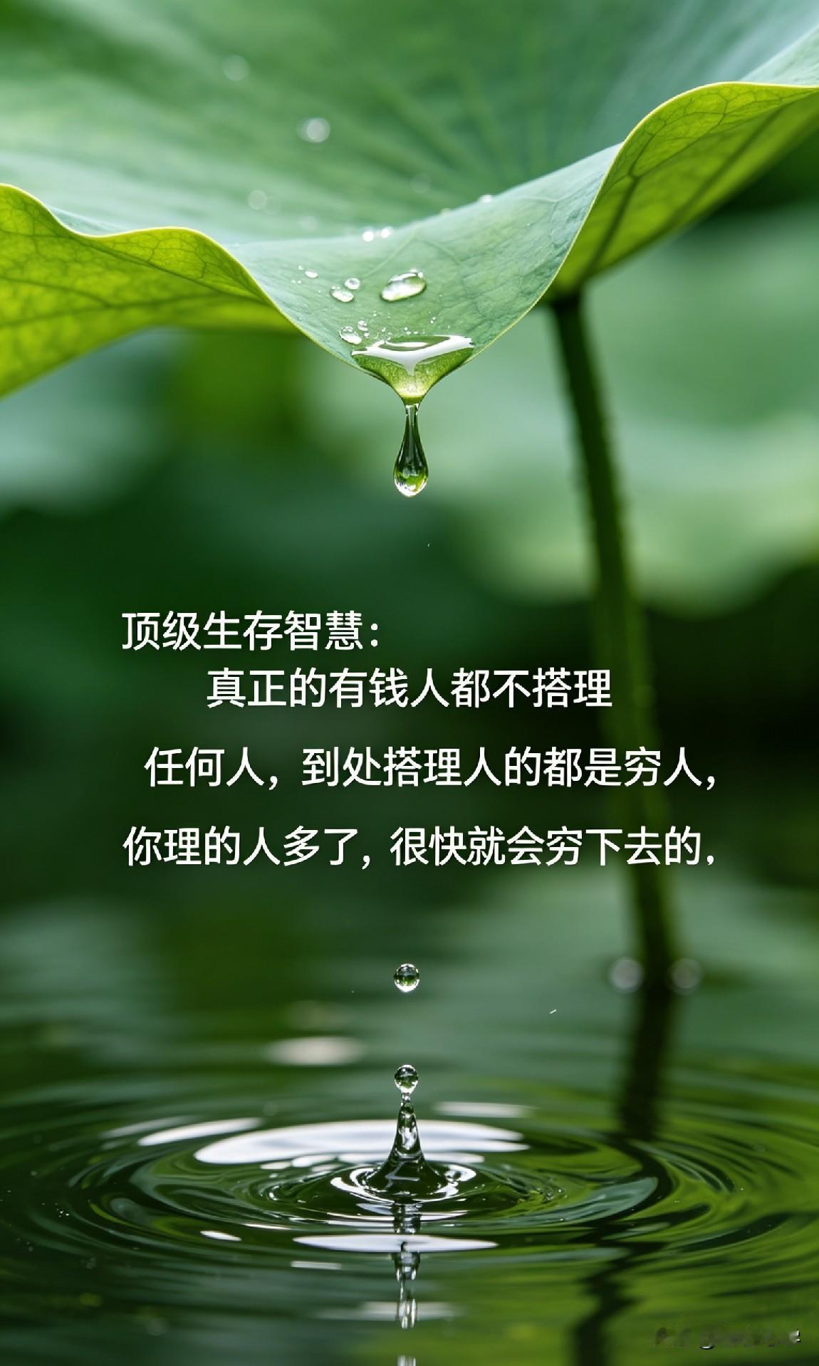 真正的有钱人都不搭理任何人，到处搭理人的都是穷人，你理的人多了，很快就会穷下去的