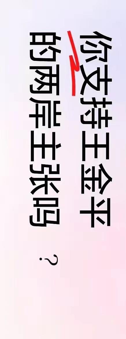 王金平关于"军队大陆派驻、外交大陆管控"的说法，其核心正是他近年来提出的"两岸治