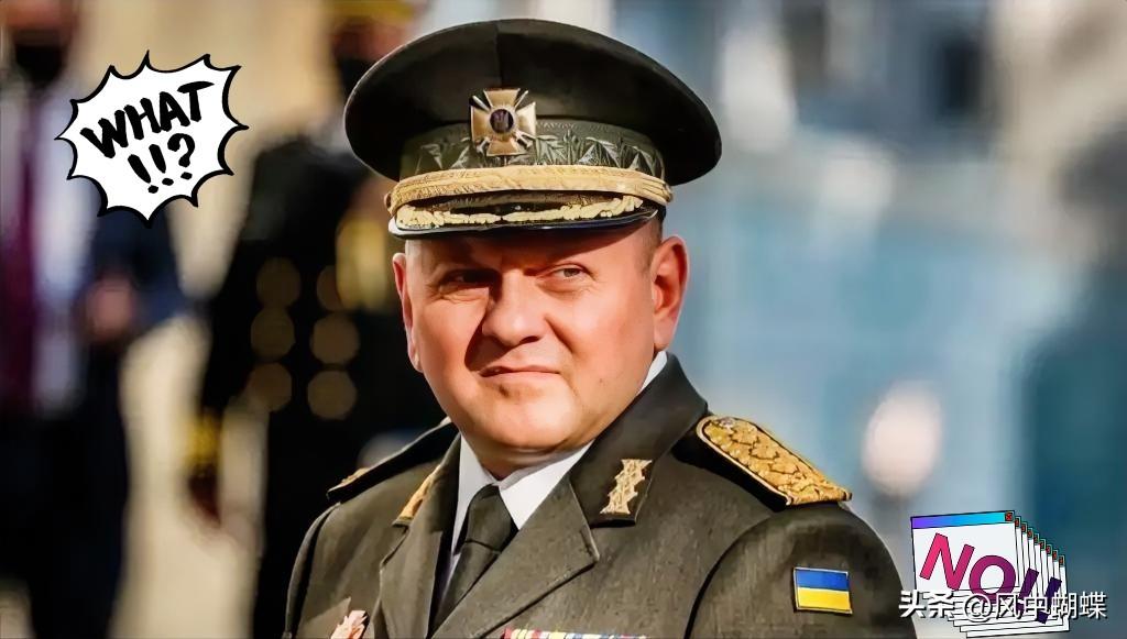  最新快讯！
乌克兰高级军官发表言论
俄乌战后，乌克兰最怕的不是俄罗斯，是这群人