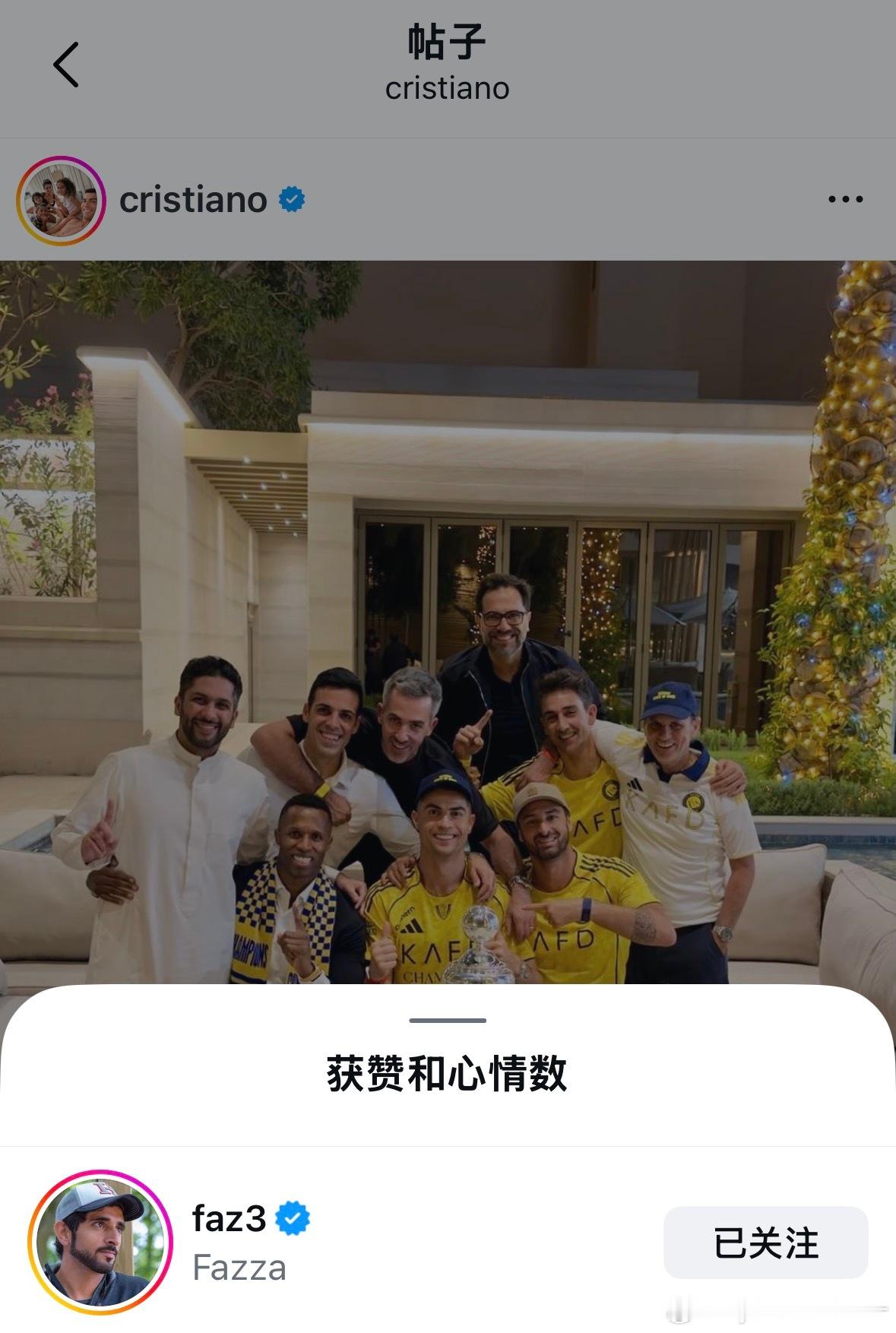 迪拜王储比mbs好看多了