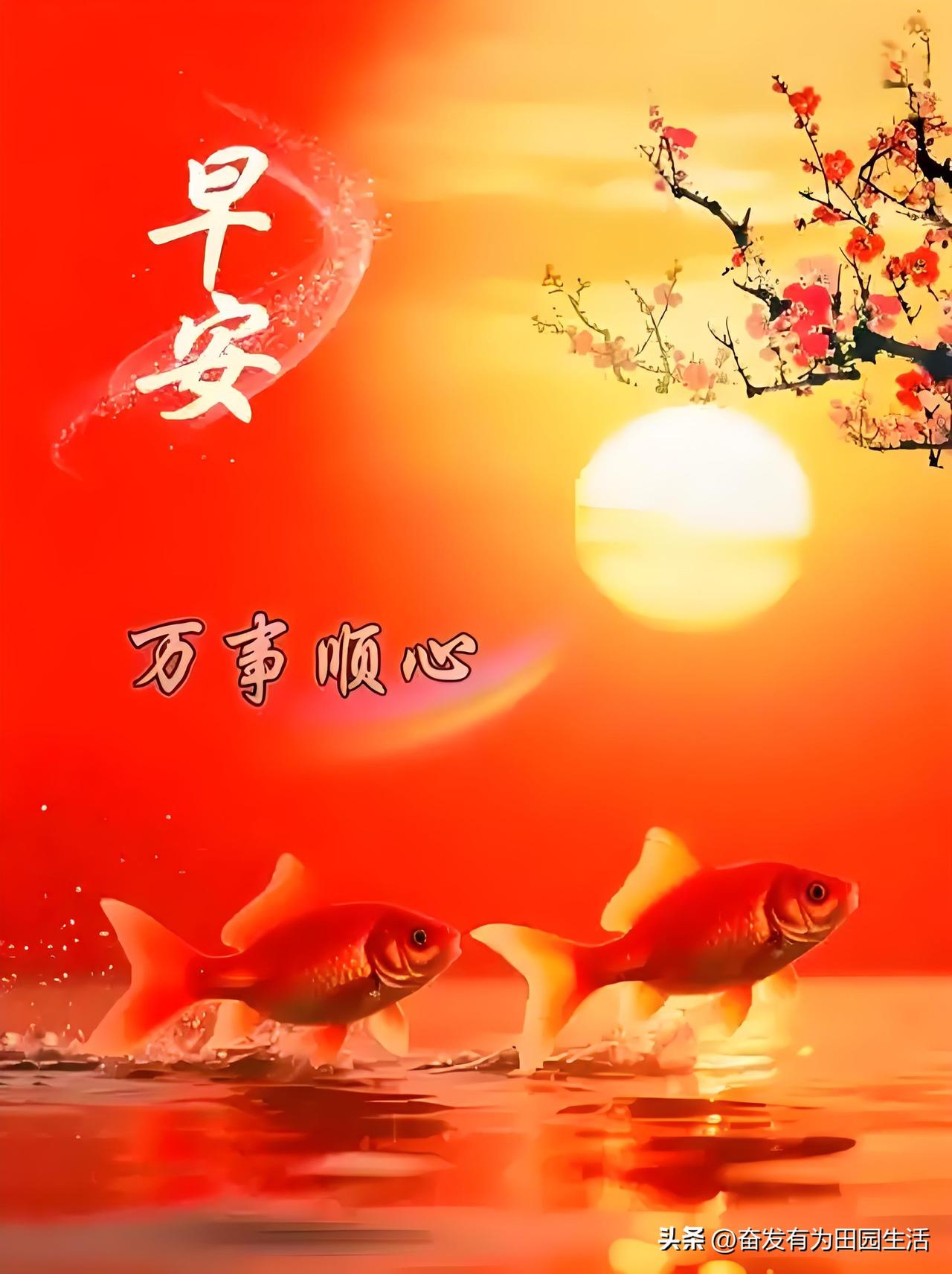 早安吉祥，万事顺心，愿你如鱼得水！🌞🐟