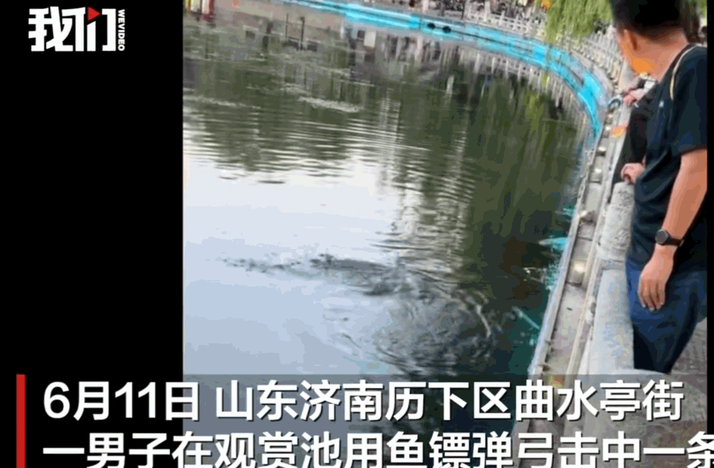 “胆子也太大了！”山东济南曲水亭街，一名男子竟然众目睽睽之下，用上了专业的捕鱼工
