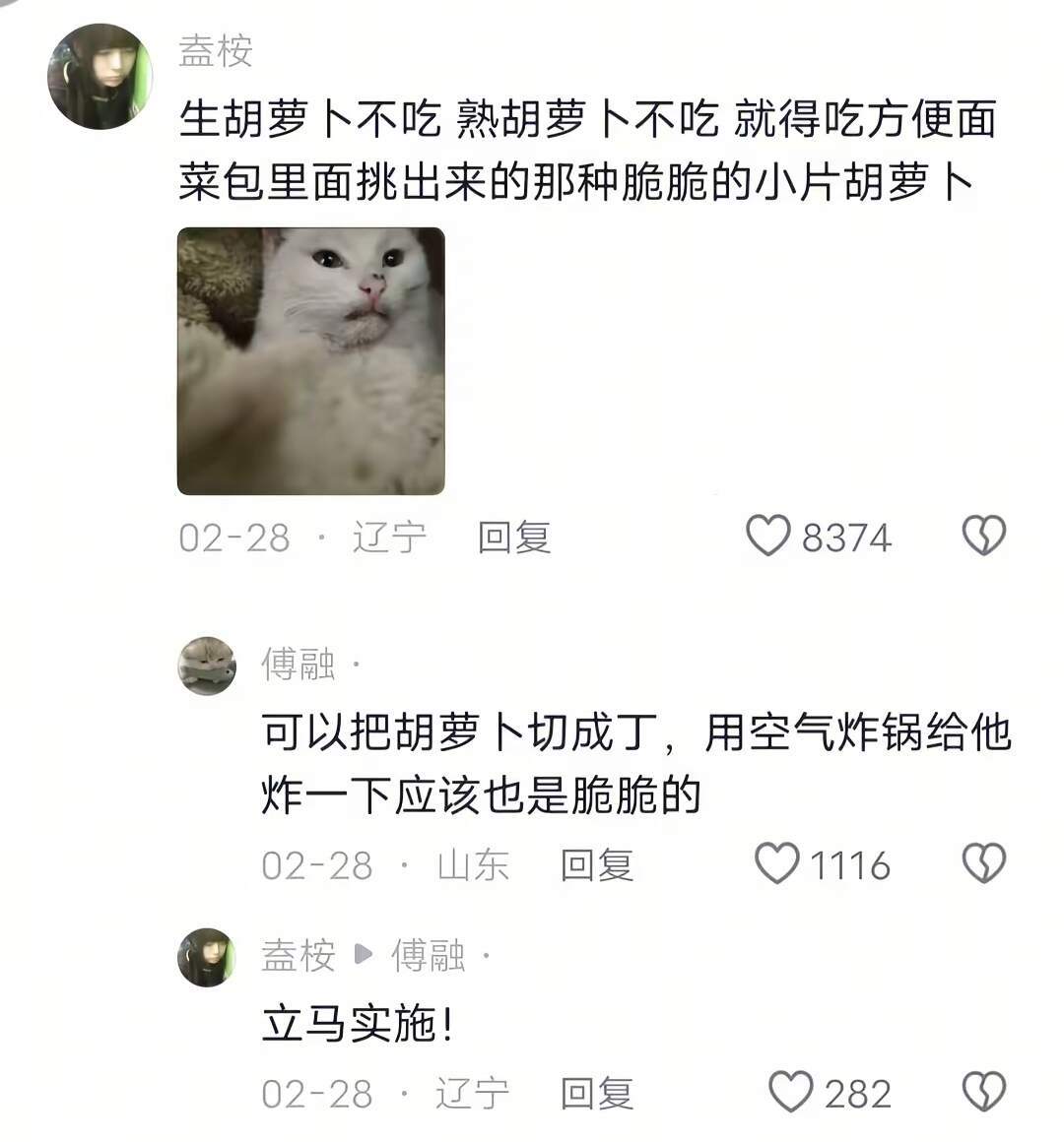 “小猫有喜恶是一件很有意思的事” ​​​