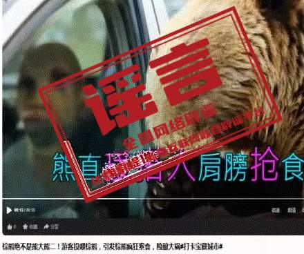 网传“喀纳斯棕熊索食险酿大祸”系AI编造（2026·10·08）