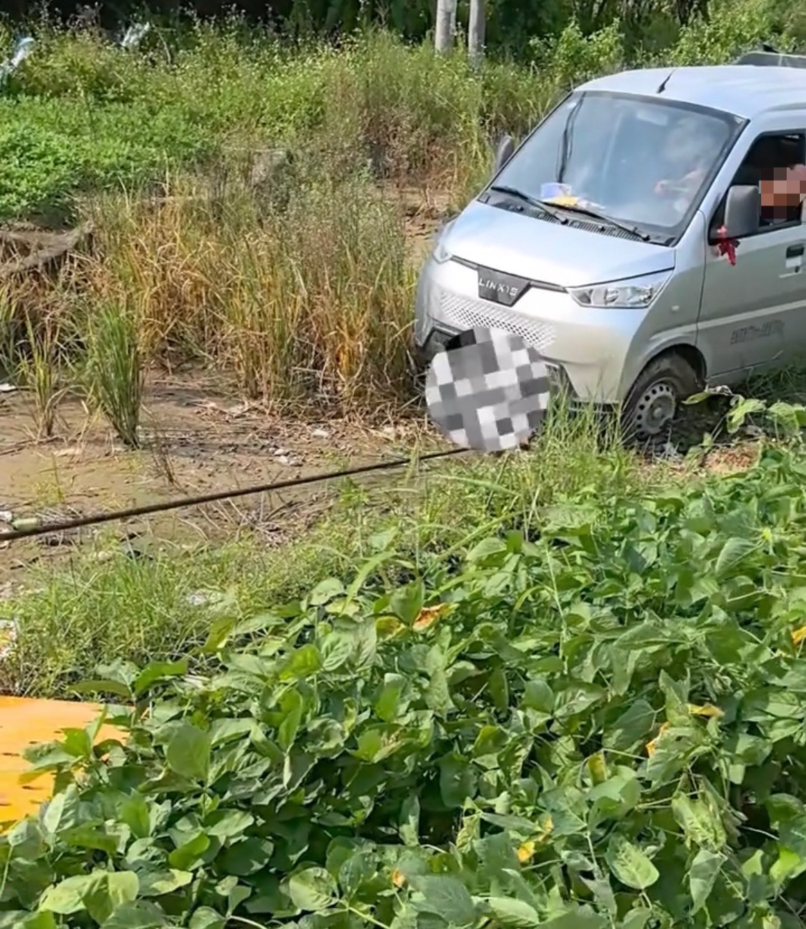 【玉林某西山新能源小货车冲进田地里】9月10日，网友爆料称：玉林市某西山一辆新能