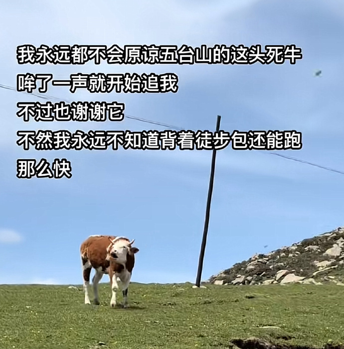 当代网友窝囊的报复belike： ​​​