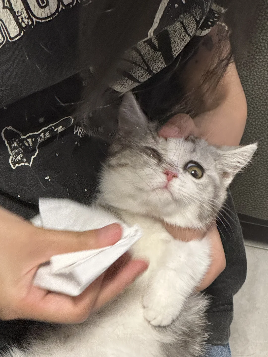 当你养了只猫而你的朋友恰巧是兽医