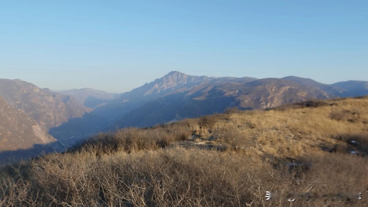 晨光中的料木山