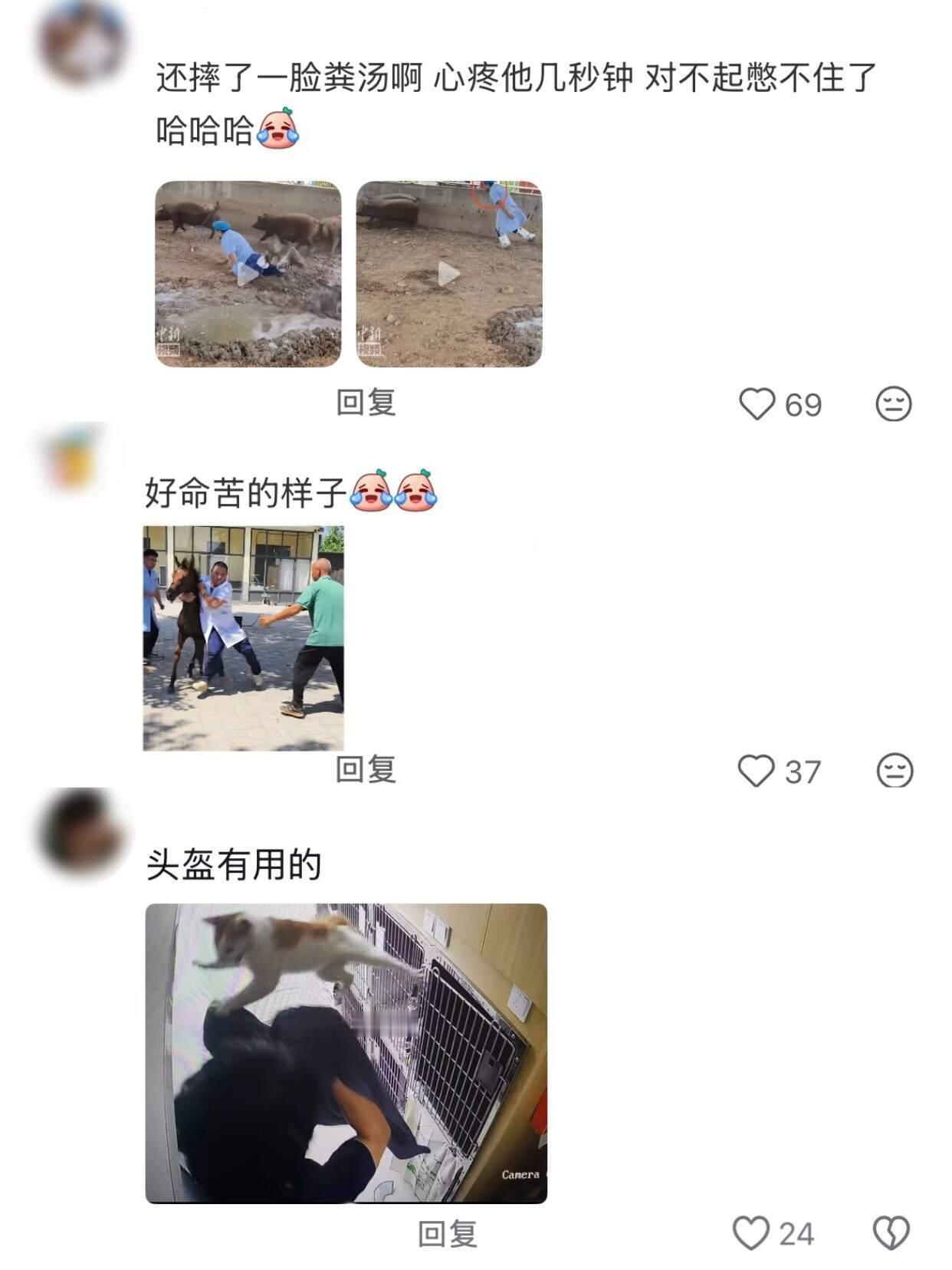 连兽医都逃不过的医患关系紧张的问题 