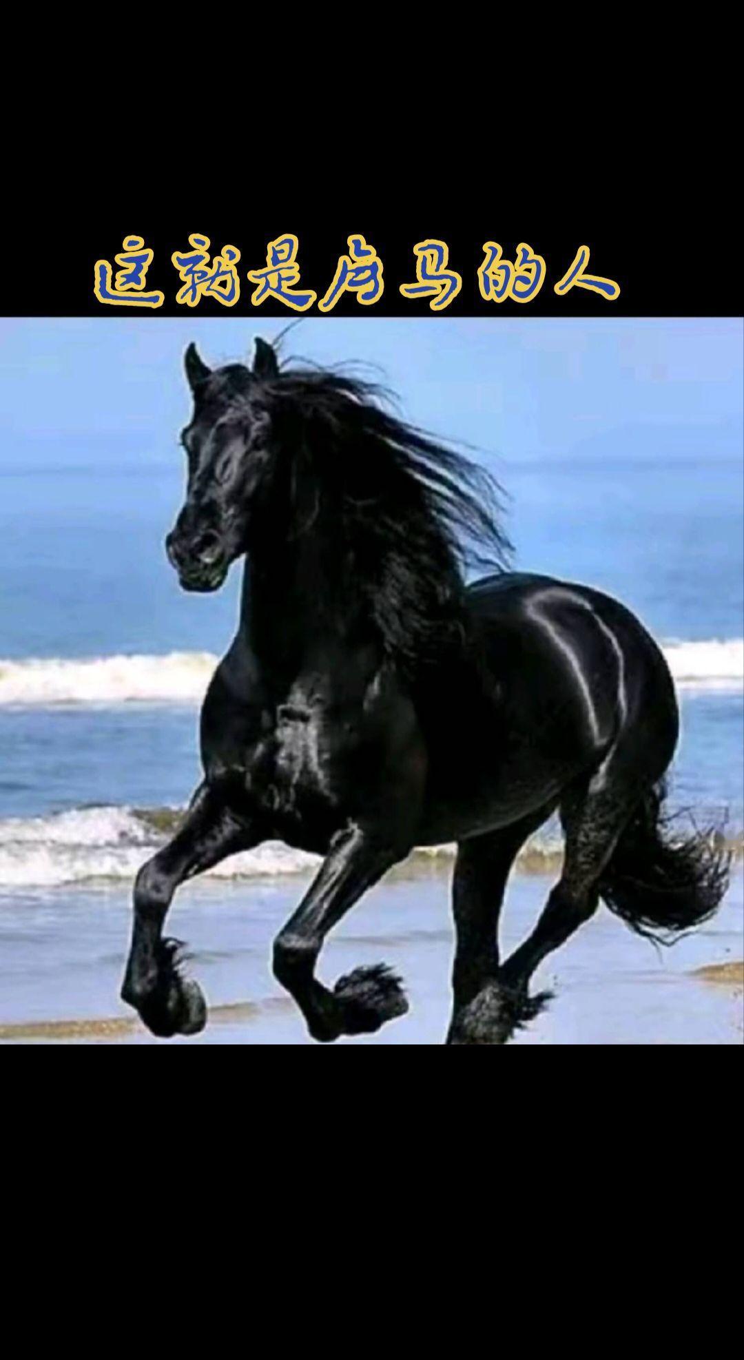 这就是属马的人性格，请聆听一一