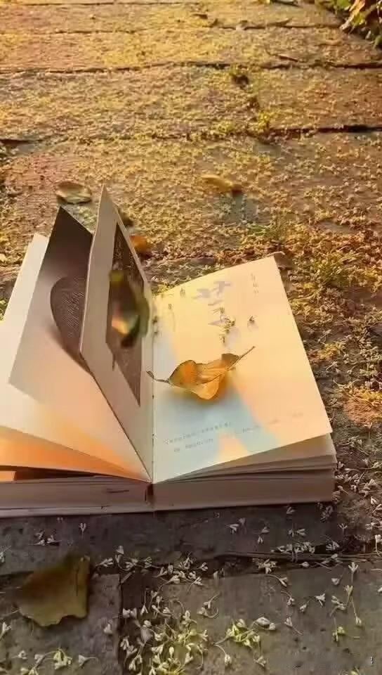 斑驳的光影留下什么，所念所思所忆，模糊的画面。

怀念从前，遗失在时光里的美好，
