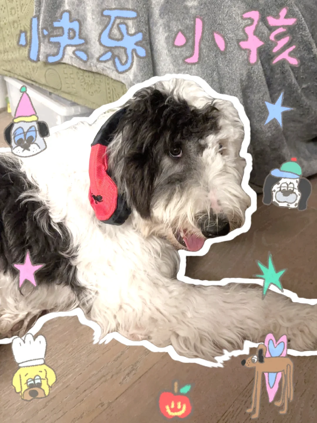 biglaw夏日大舞台