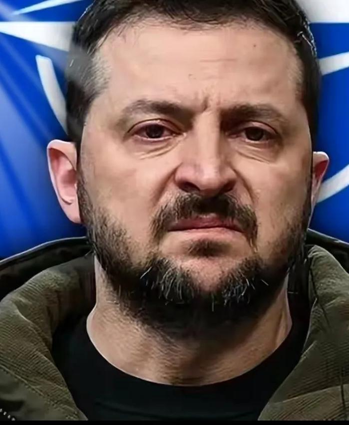 基辅市长克里琴科：基辅已经瘫痪了，应该离开基辅据俄媒报道，基辅市长克里琴科呼吁市