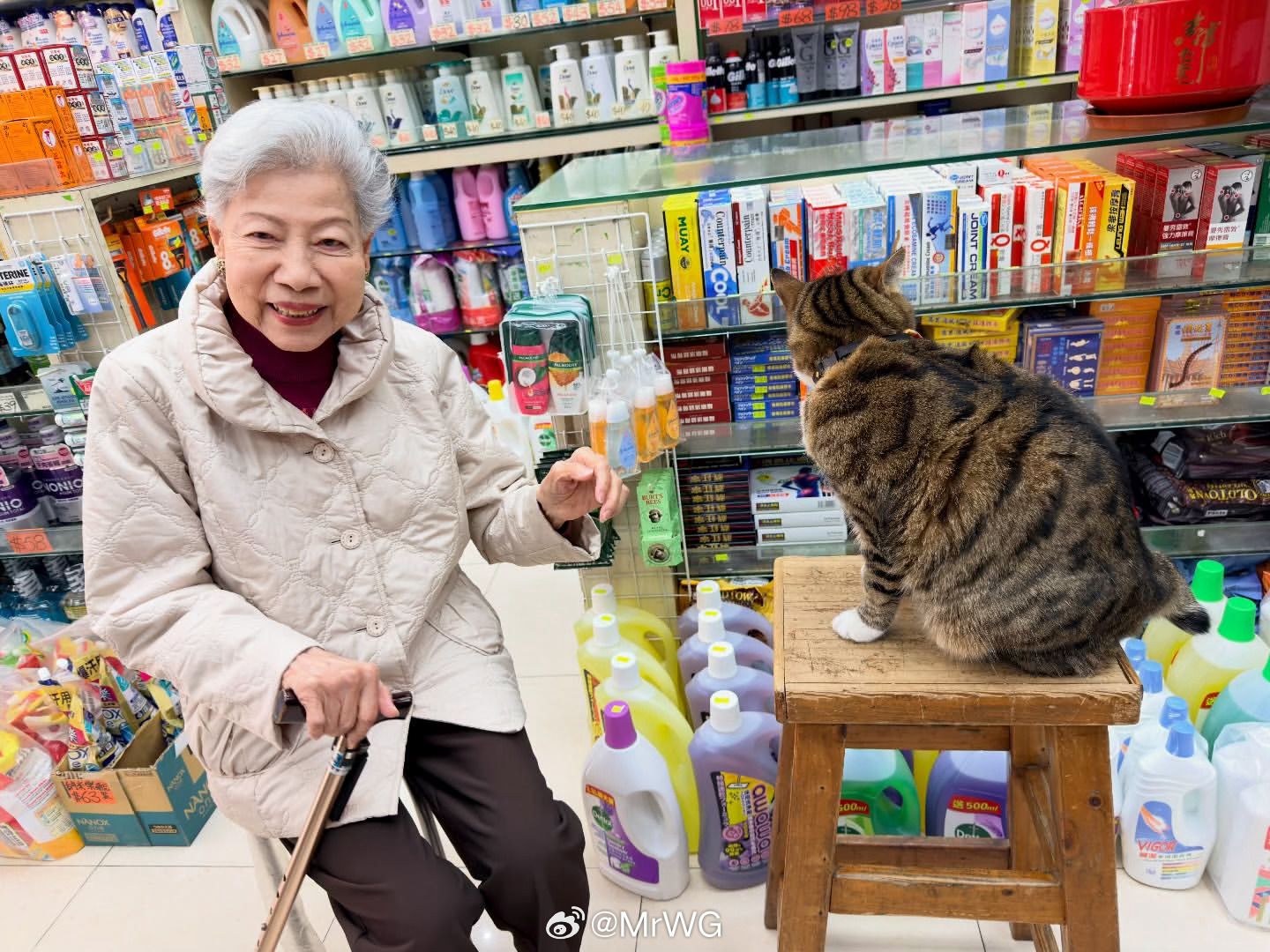 香港电影春节档马上有戏 龙婆，与，猫。🐈91岁的罗兰婆婆，依然神采奕奕，好可爱
