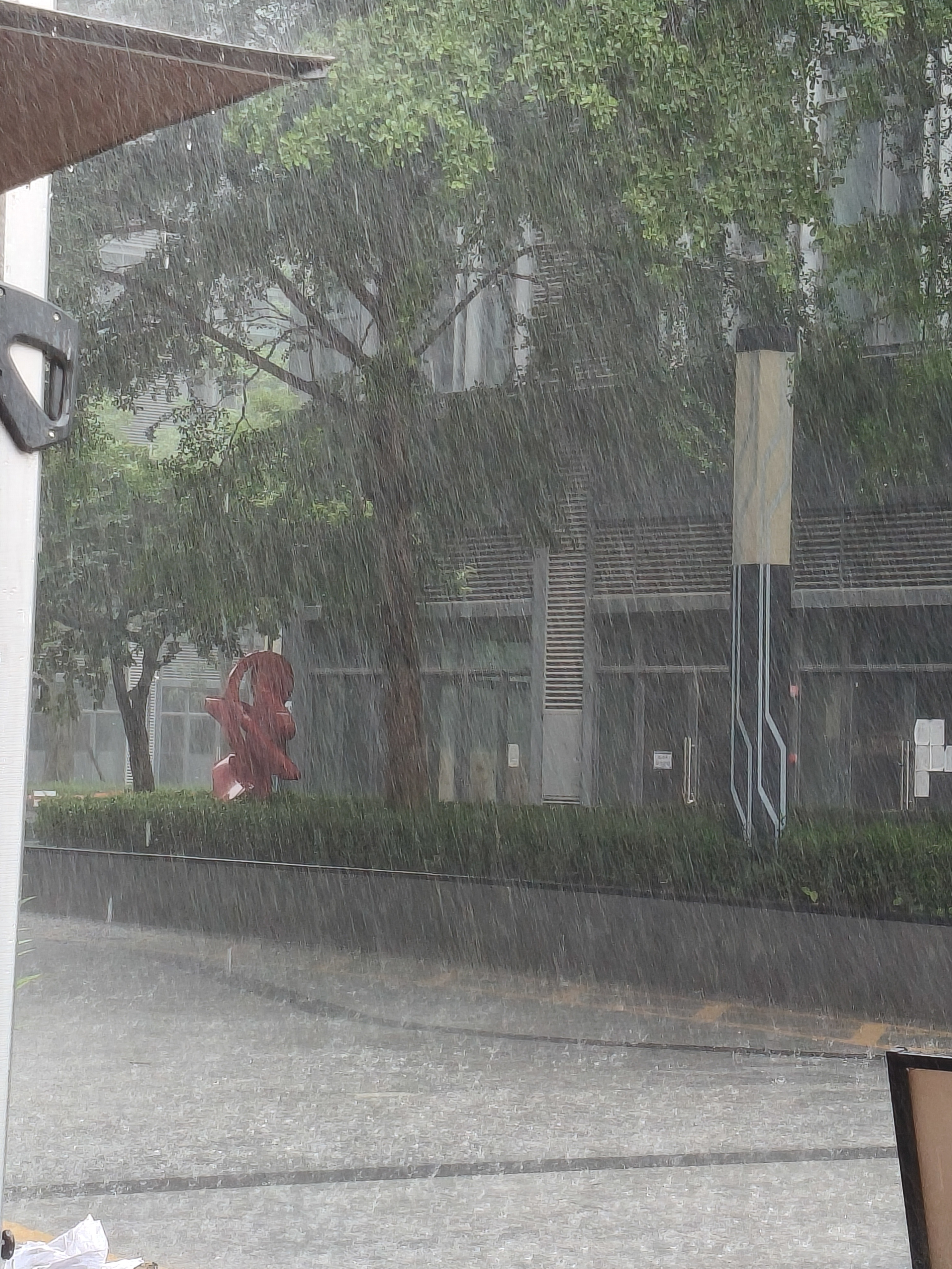 泪水打湿猪脚饭，去楼下吃饭的时候下大雨，一进公司门那，出太阳🌞了，真没招了 