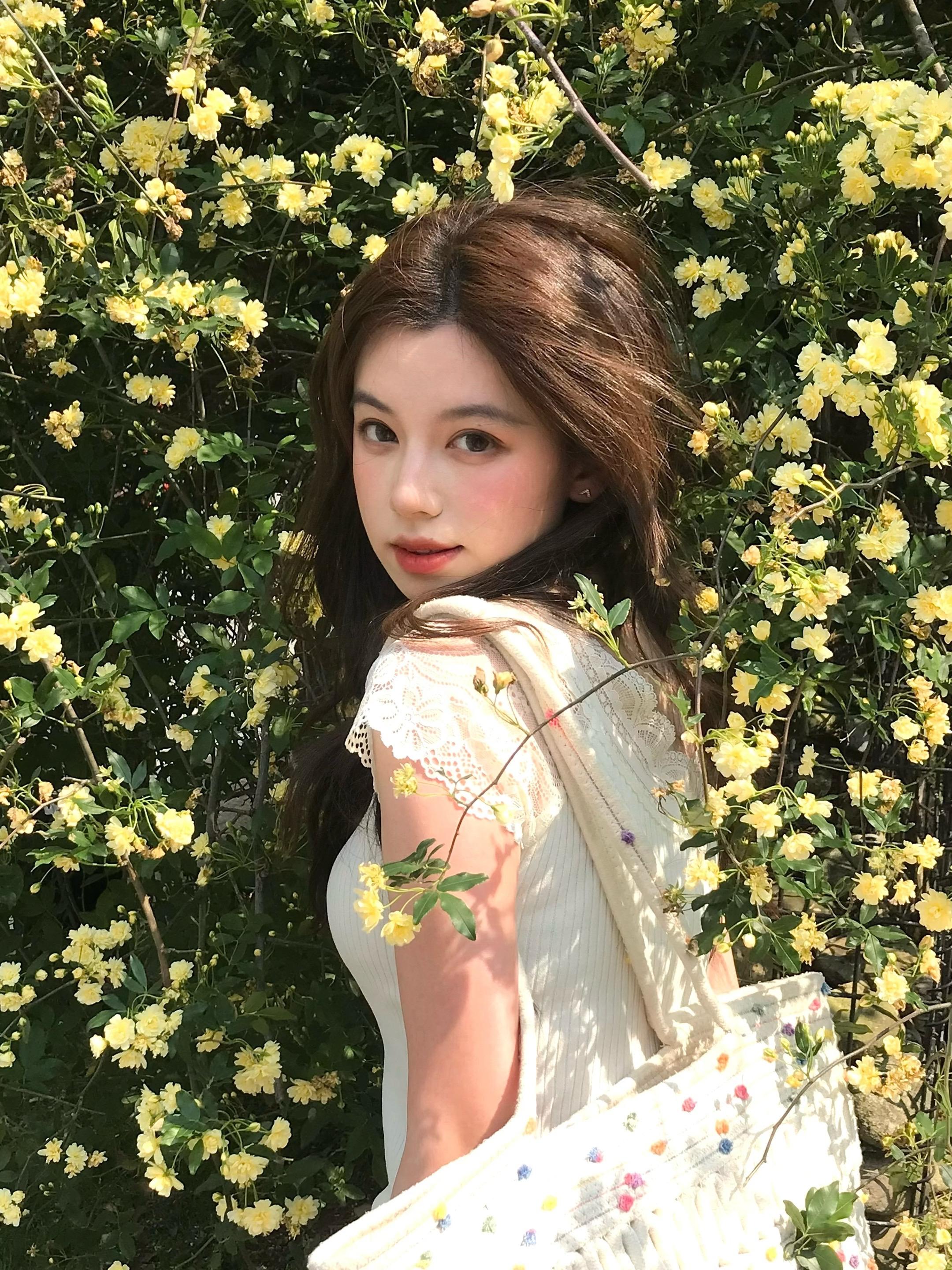 故事的小黄花🌼