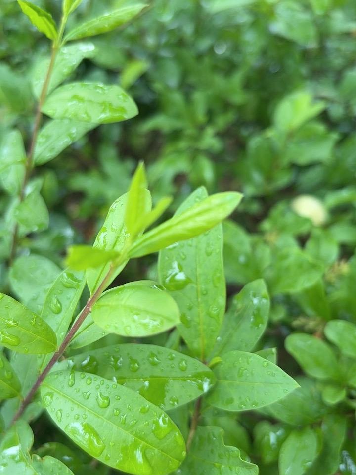 打蛇打七寸，擒贼先擒王！
不知道制裁对菲律宾防长有什么影响？
以观后效吧！