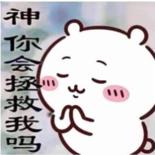明天我一定续🔥 