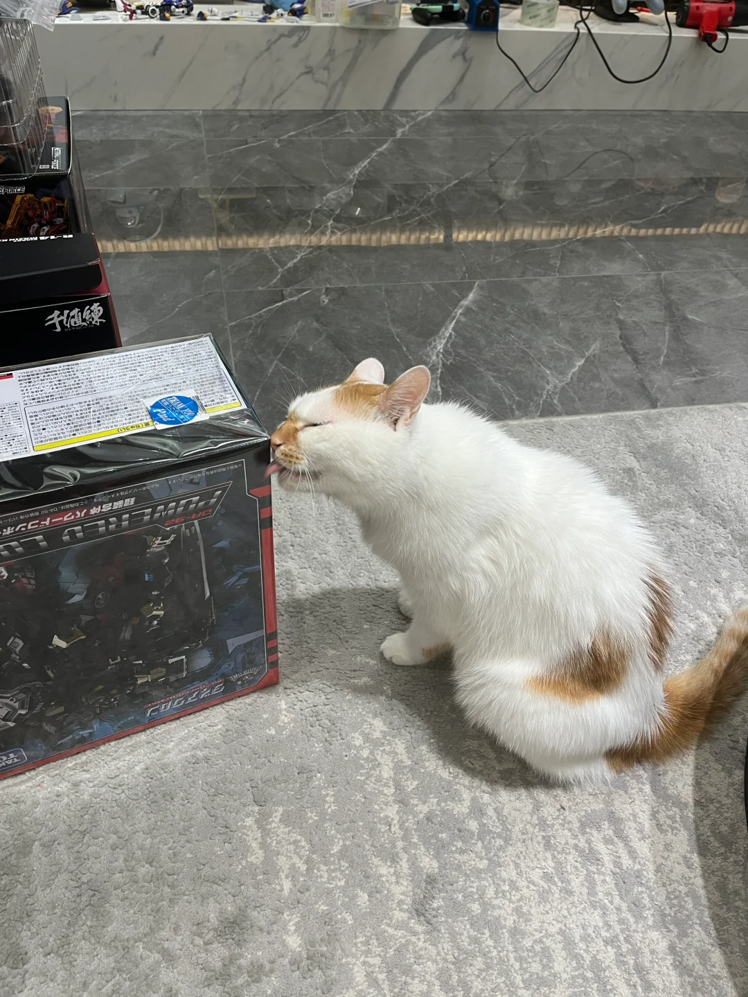 补充今日份的塑料袋营养