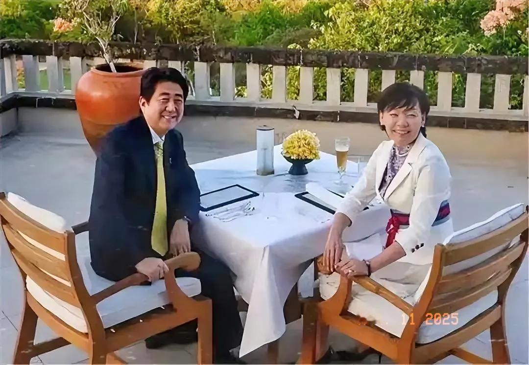 已经身亡的日本政客安倍晋三与妻子安倍昭惠的悠闲时光，从照片中可以看周围的环境还是