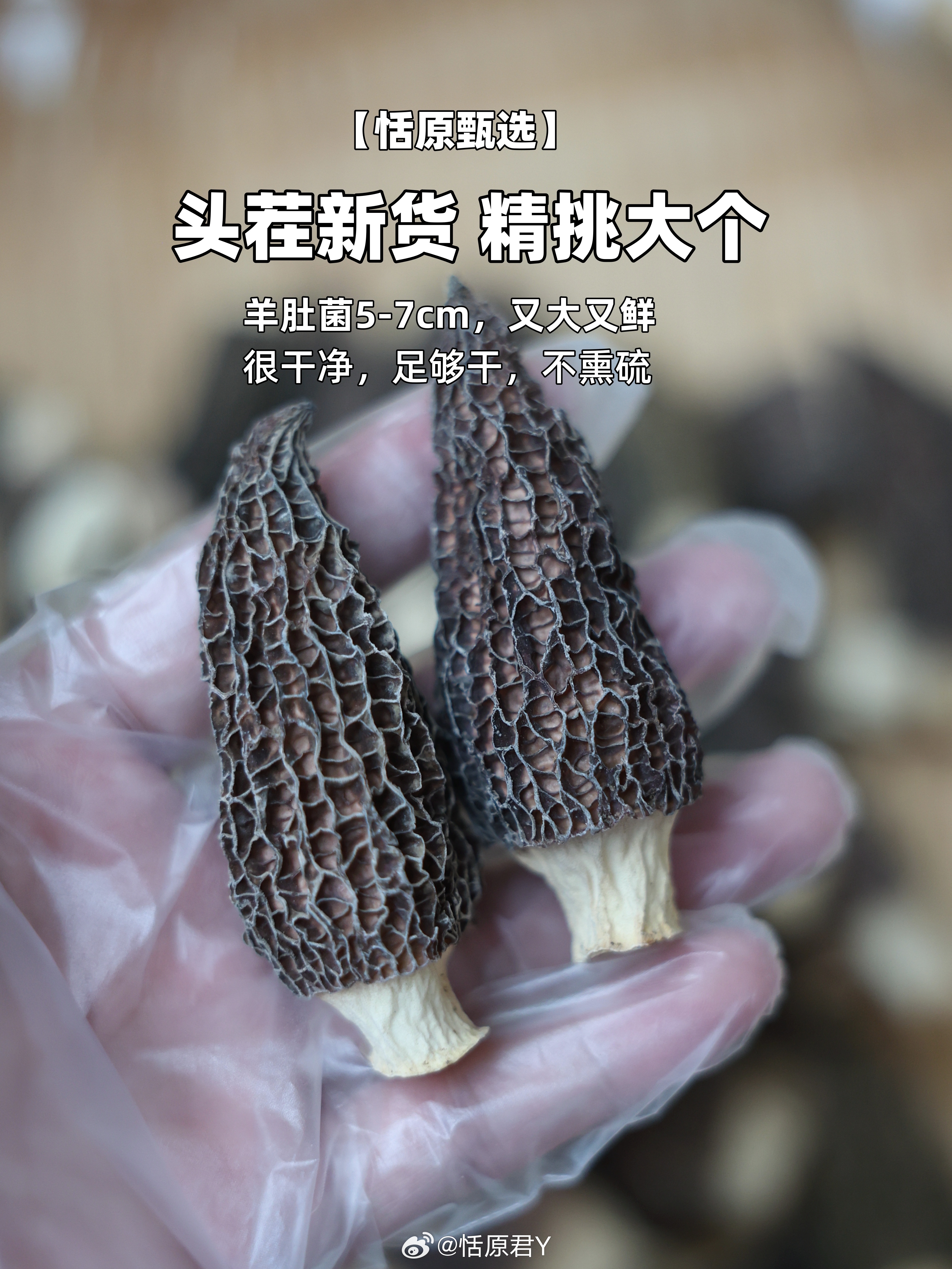 羊肚菌的图片因相机内存卡出问题，所以不得不重新拍摄一遍，详情页的图还在编辑，都是