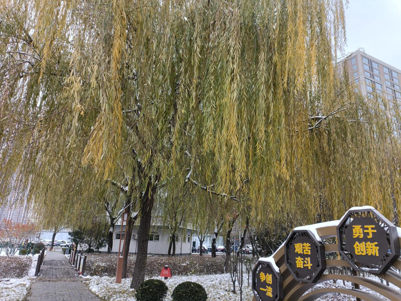 楼下有家沙县小吃，
一直由一对老夫妻在经营，
吃饭的络绎不绝，
我也常在里边吃喝