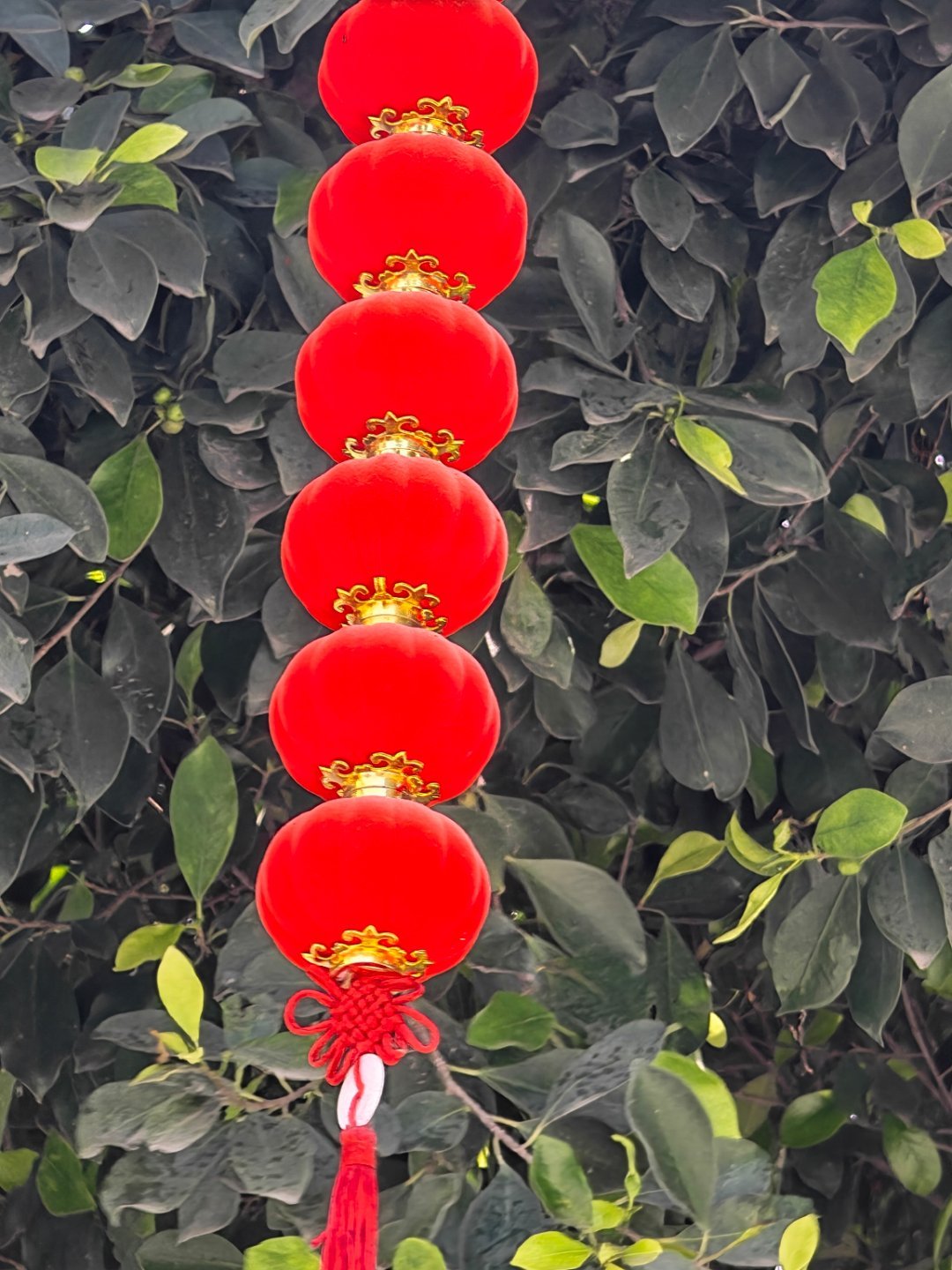 早上好！每天早起打卡