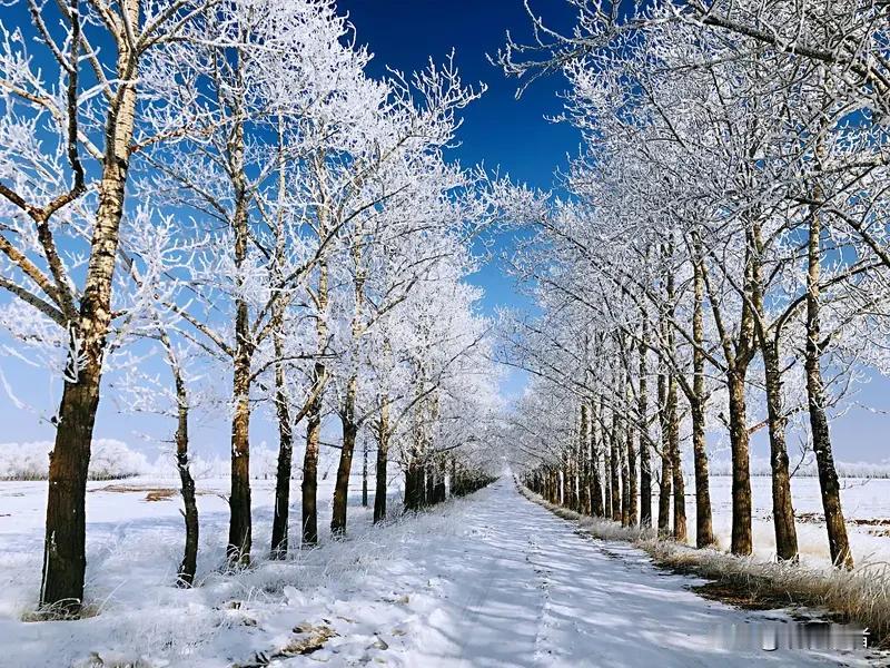 最近总听人说今年冬天会很冷，但专家表示暖冬的可能性更大，只是由于天气愈发极端，很