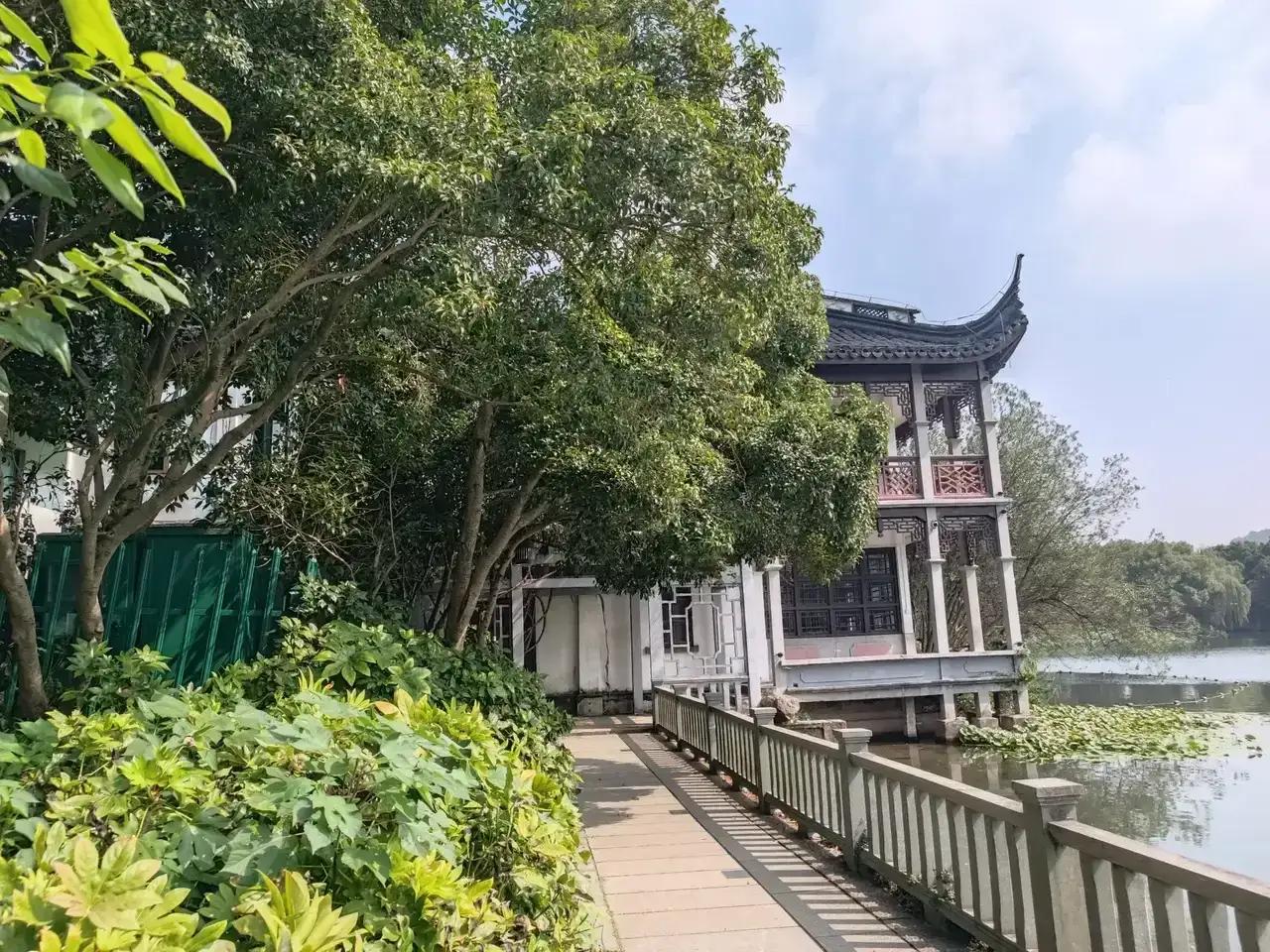 杭州一年四季都是花的海洋，而西湖蒋庄更是花团锦簇吸引着众多游客前来打卡留念。
