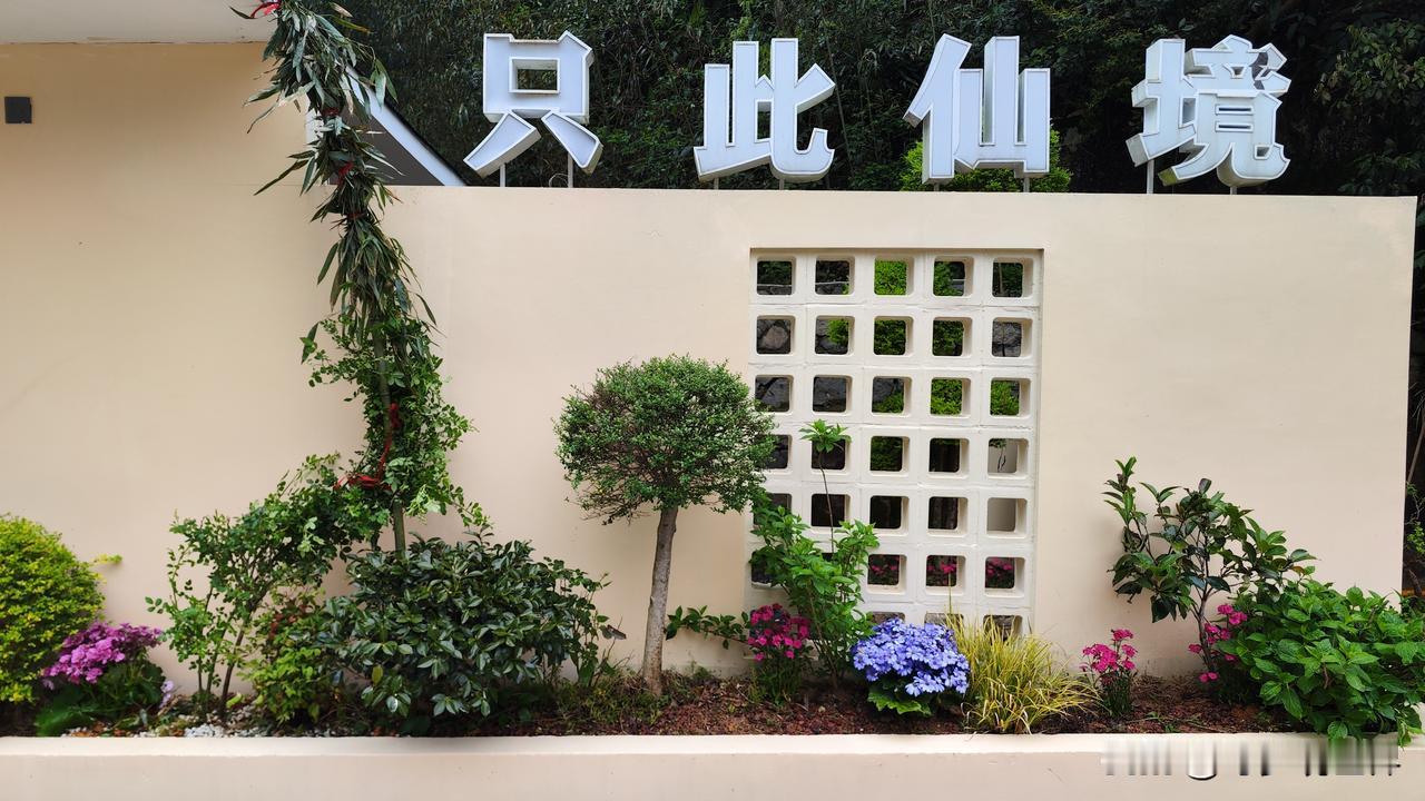 来过很多春日山野，却还是被安吉枫林山边的景色狠狠治愈。一踏入景区，青山连绵相依，