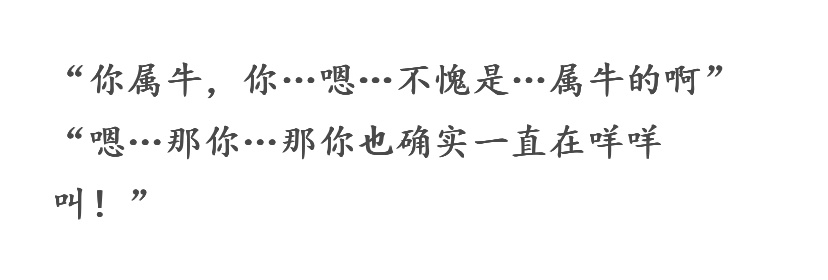 我写到这里的时候，真的狂笑，咋办，我们博君一肖的属相都很黄黄的相配！一个一直垦地