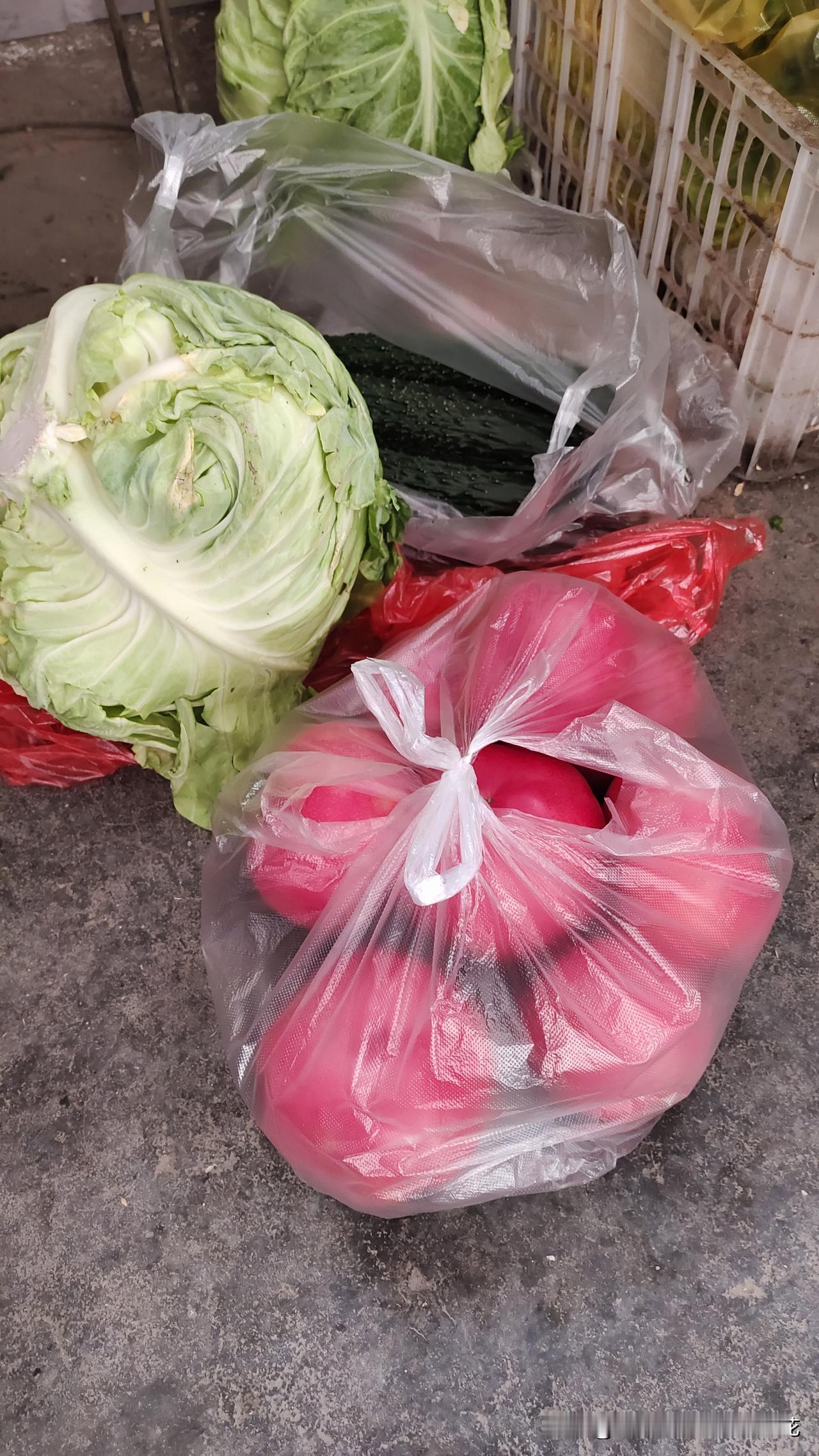 今年的蔬菜好便宜。
去对面蔬菜市场买菜，黄瓜1元一斤，大个的西红柿1.6元一斤。